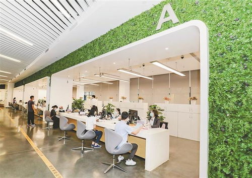淮北市采集足底血什么时候出结果