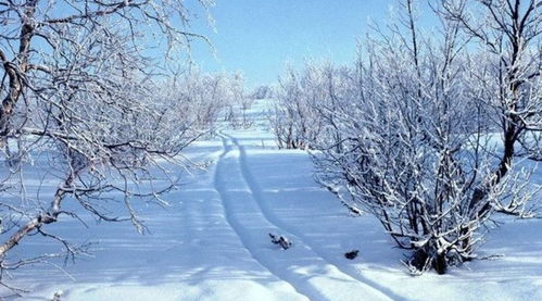 淮北下了雪一首歌是什么