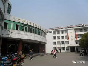 淮北市八中学校在什么位置