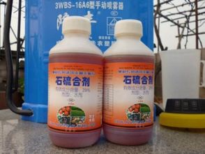 淮北地区桃树什么时候打石硫合剂