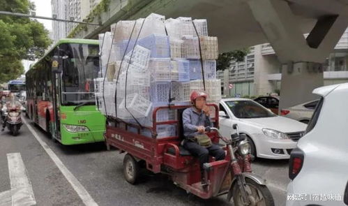 淮北为什么那么多三轮车