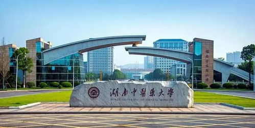 淮北市高中前十名能上什么大学