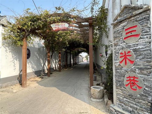 淮北市杜集区纵楼村什么时候逢集
