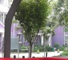 淮北市天赐良园什么时候盖的