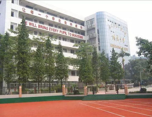 淮北市小学一般什么时候报名