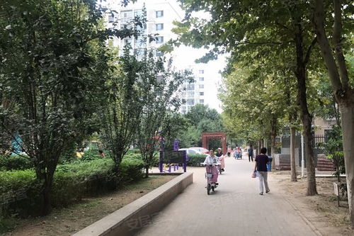 淮北第一中学对面小区叫什么