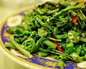 淮北九分一斤的菜是什么菜
