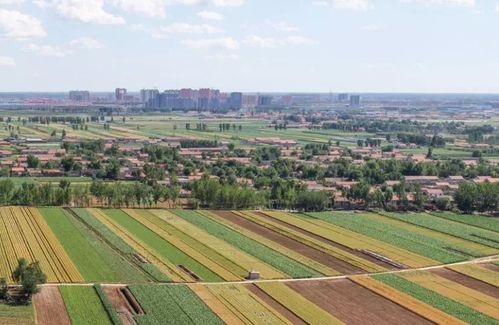 淮北市田圩村山上的墓地叫什么