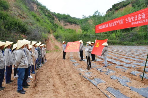 淮北市岱河矿现在改名叫什么