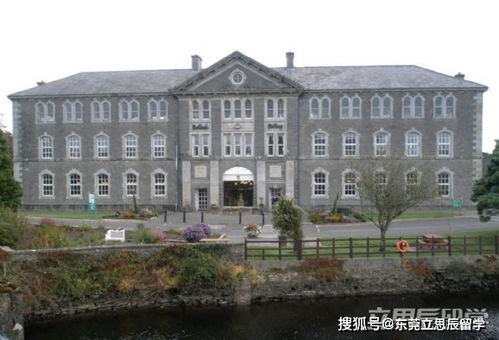 淮北一中谢琦长什么样