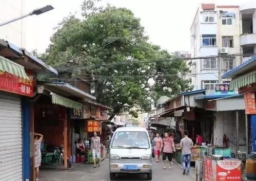 淮北市城西巷一楼小区叫什么