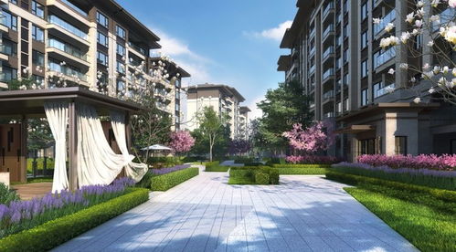 淮北紫郡府菜市场在什么地方