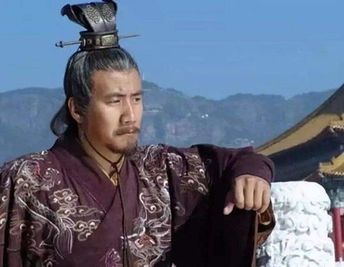 海清为什么在淮北濉溪开演唱会