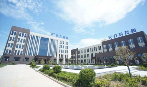 安徽淮北天力锂能是做什么的