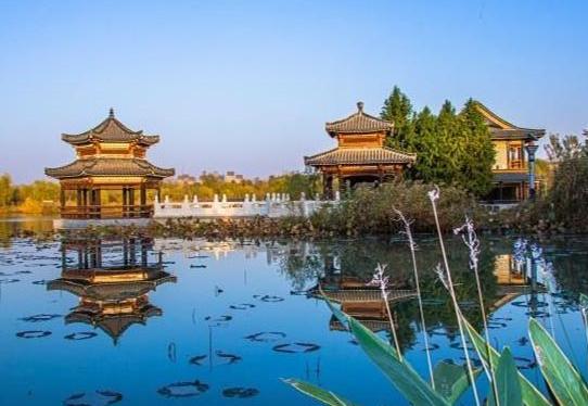 淮北市有园林局吗现在叫什么