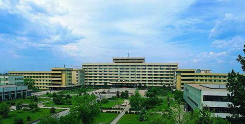 淮北市煤师院直播基地在什么地方