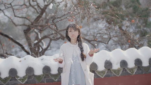 淮北下了雪一首歌叫什么